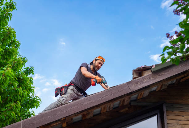 Best Asphalt Shingle Roofing  in Lake City, IA
